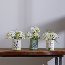 Load image into Gallery viewer, Disney Thumper Pot (with flowers)