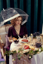 Load image into Gallery viewer, Silver Birdcage Walking Umbrella