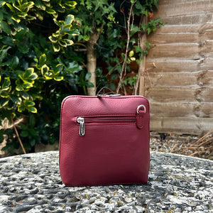 Windsor Wine 'Mia' Mini Crossbody Bag By David Jones (back)