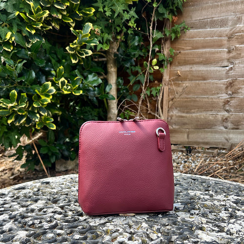 Windsor Wine 'Mia' Mini Crossbody Bag By David Jones