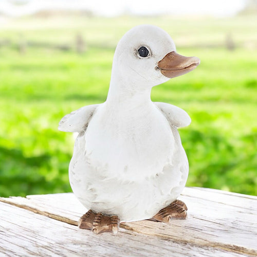The Adorable Curious Duckling