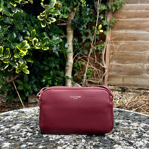 Small Windsor Wine Double Zip Crossbody Bag