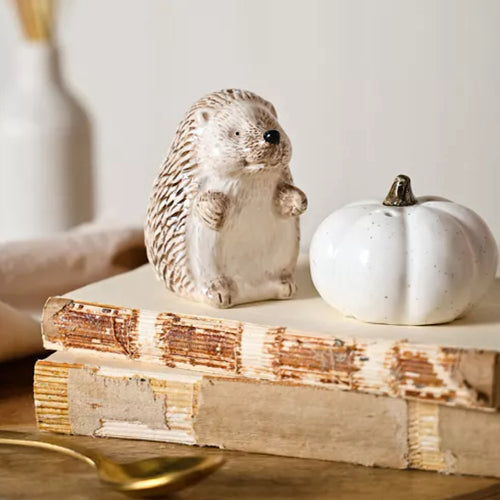 Hedgehog Salt & Pepper Set