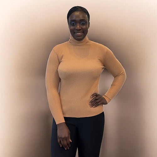 Camel Stretchy Ribbed Fine Knit Basic Polo Neck Jumper