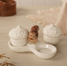 Load image into Gallery viewer, Ceramic Squirrel Acorn Salt &amp; Pepper Shakers with Tray (acorn)
