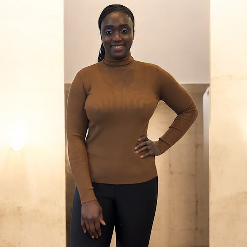 Chocolate Stretchy Ribbed Fine Knit Basic Polo Neck Jumper