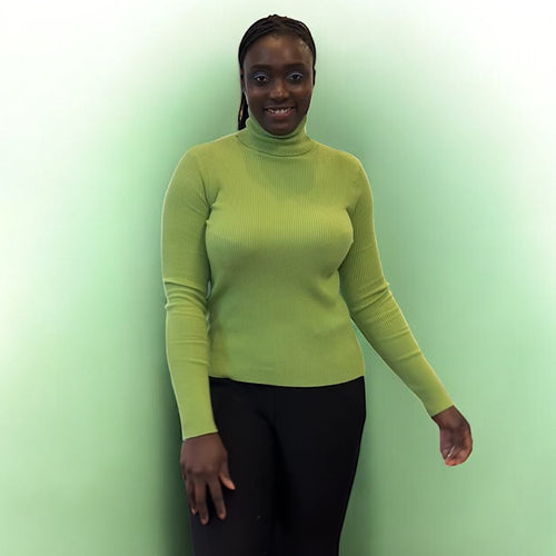 Lime Stretchy Ribbed Fine Knit Basic Polo Neck Jumper