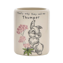 Load image into Gallery viewer, Disney Thumper Pot
